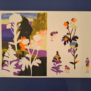 Risographie collections