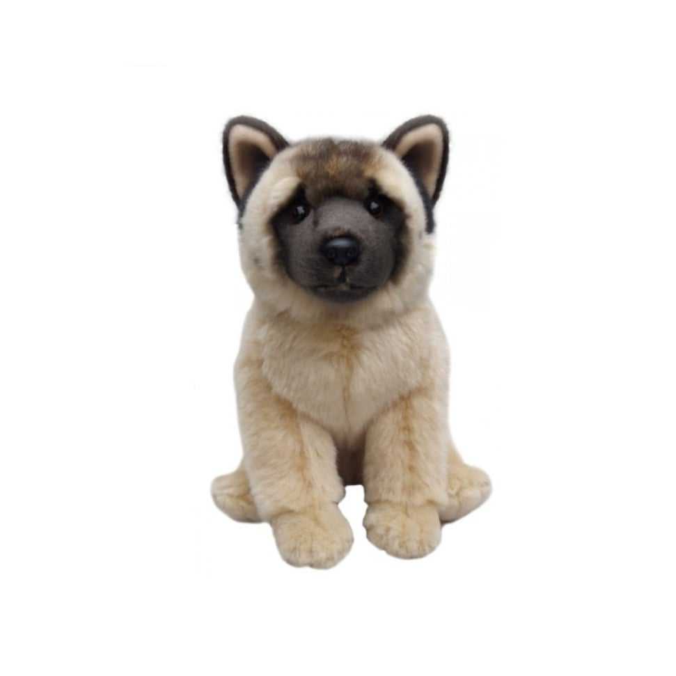 Akita