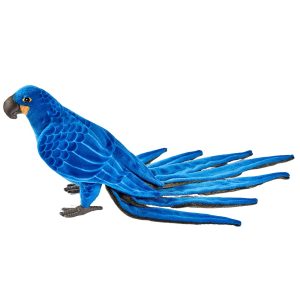 Ara Hyacinthe Petit Modèle