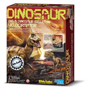 Archéologie – Le Vélociraptor