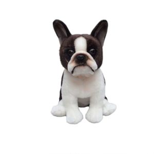 Boston Terrier