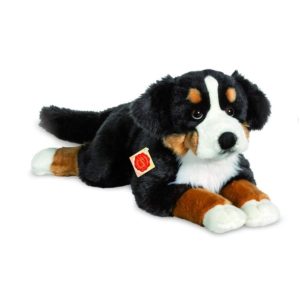 Bouvier Bernois Grand Modèle