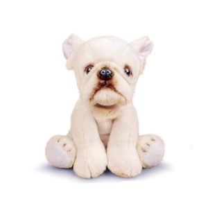 Bulldog Français Bébé Blanc