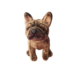 Bulldog Français Bringé