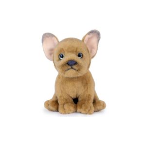 Bulldog Français Chiot Beige