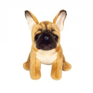 Bulldog Français Fauve