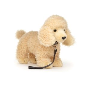 Caniche Beige avec Laisse