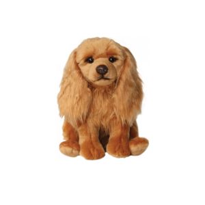 Cavalier King Charles Roux