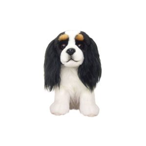 Cavalier King Charles Tricolore