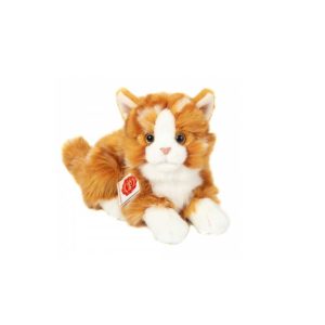 Chaton Roux et Blanc