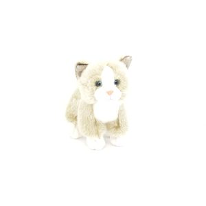 Petit Chaton Gris et Blanc