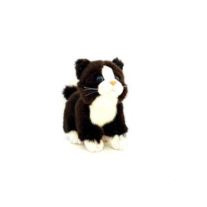 Petit Chaton Noir et Blanc