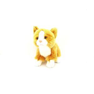 Petit Chaton Roux et blanc