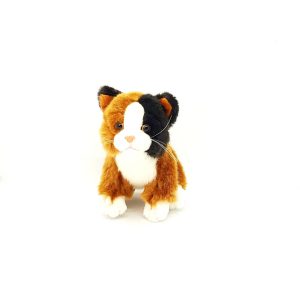 Petit Chaton Tricolore