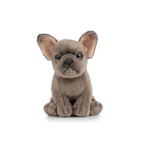 Bulldog Français Chiot Gris