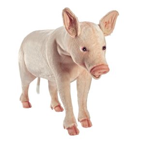 Cochonnet Taille Réelle