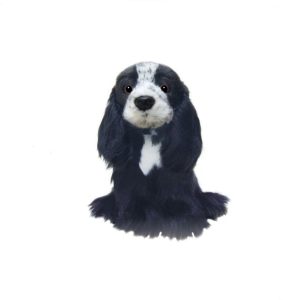 Cocker Noir et Blanc