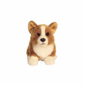Corgi