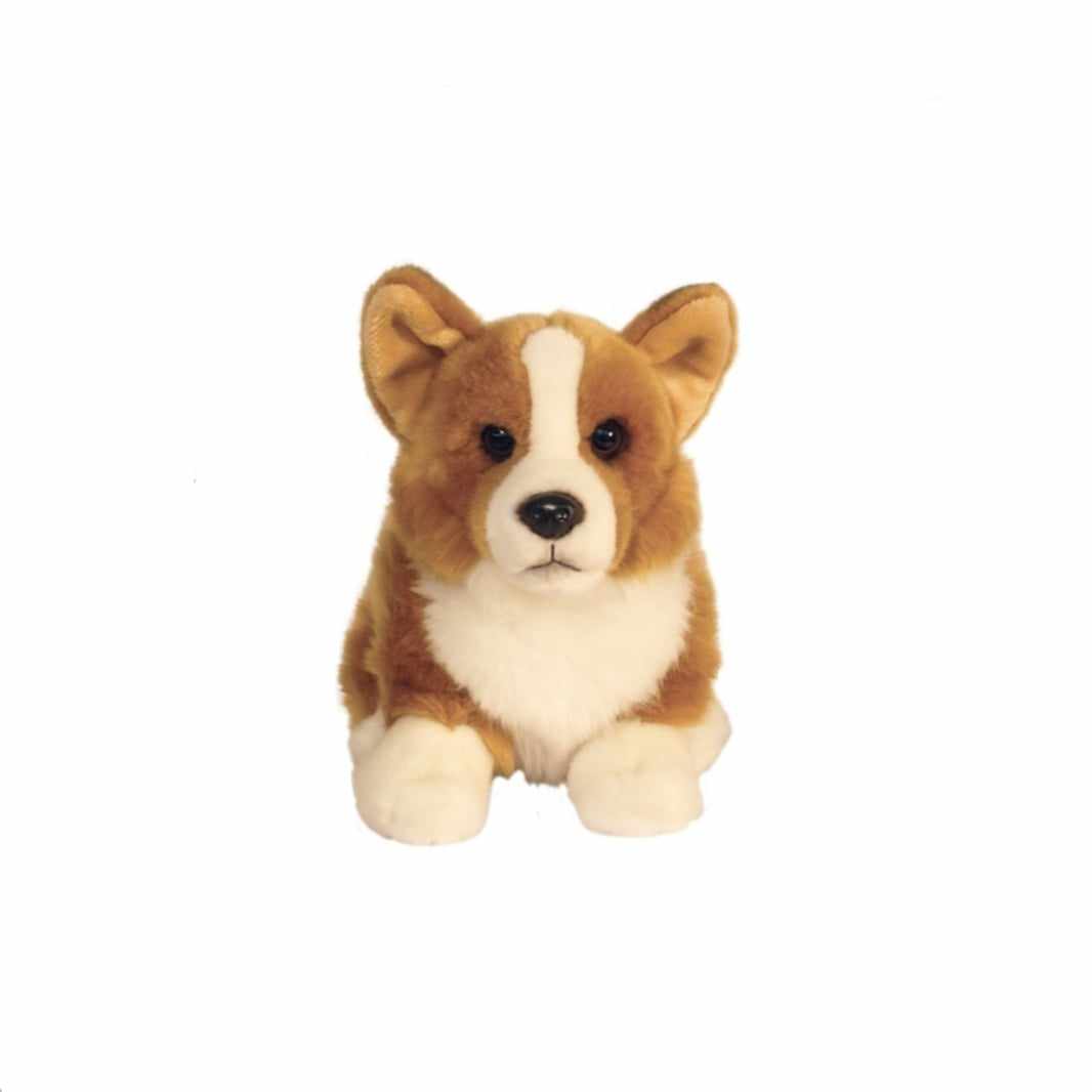 Corgi