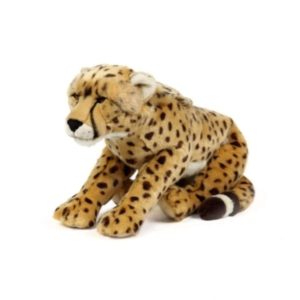 Félin : Grand Guépard