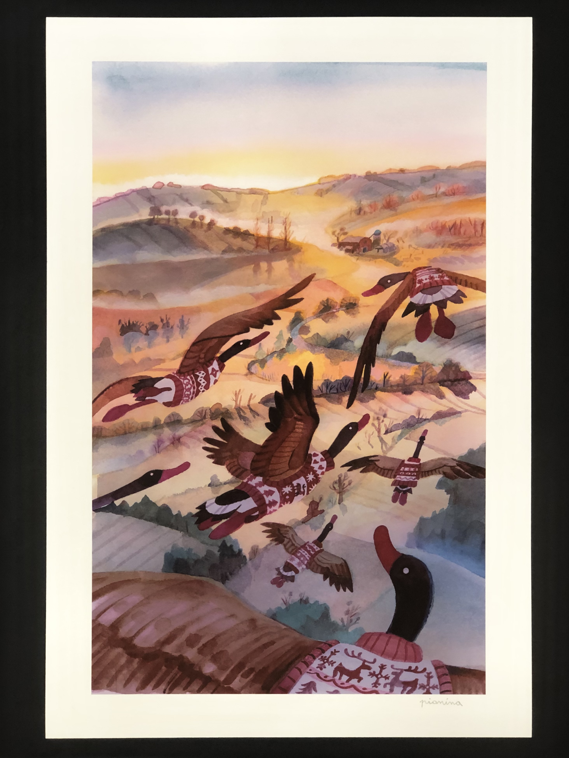 « Un brouillamini » – Canards