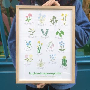 La phanérogamophilie