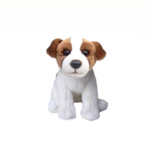 Jack Russel Roux et Blanc