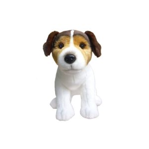 Jack Russel Tricolore