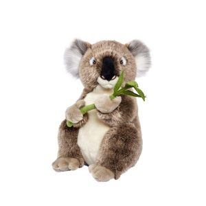 Koala Feuille