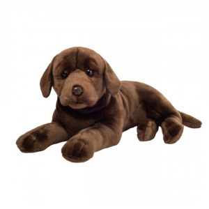 Labrador Chocolat Couché