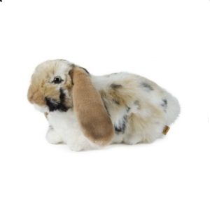 Lapin Bélier Moucheté Brun et Blanc