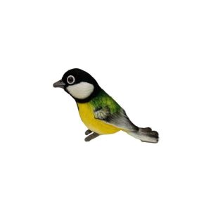 Mésange Charbonnière