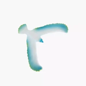 Oiseau Equilibriste Bleu