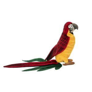 Perroquet Rouge et Jaune