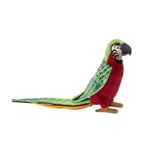 Perroquet Vert et Rouge