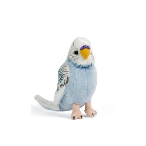 Perruche Ondulée Bleue