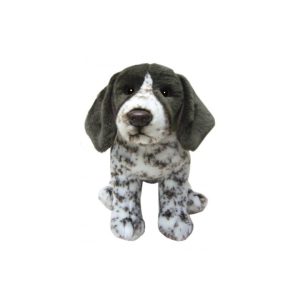 Pointer Allemand Shorthaired