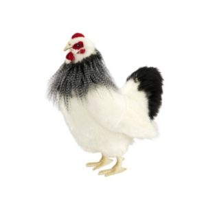 Poule Noire et Blanche