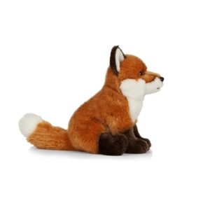 Renard