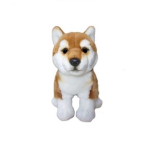 Shiba