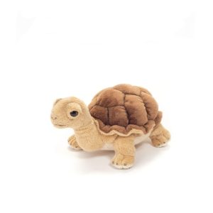 Tortue de Terre