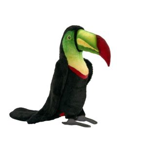 Toucan