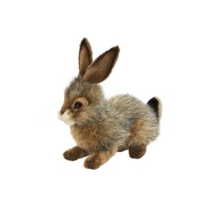 Lièvre Petit Modèle