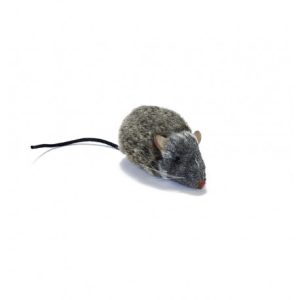 Souris Grise